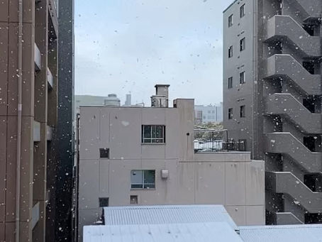 雪→晴→雪→晴・・・