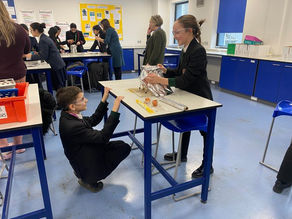 We are BDAT Science competition