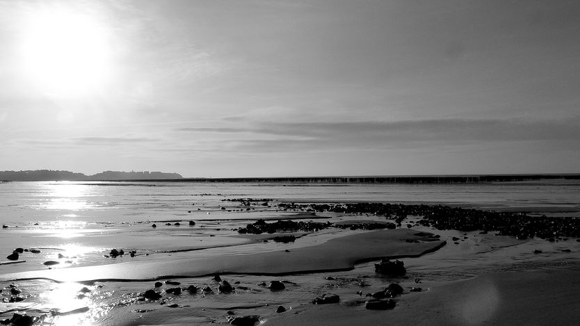 Baie de Granville, parcs à moules de bouchot