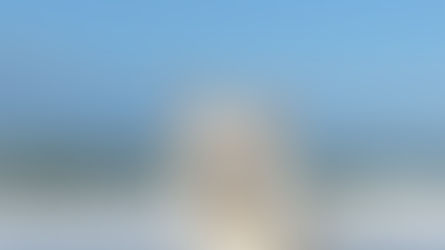 Coup de vent sur la Manche la mer lâche ses moutons et moi le Berger