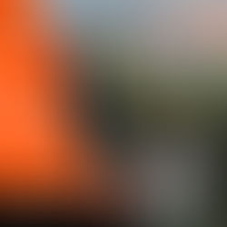 2025年4月YF楽天ライブ