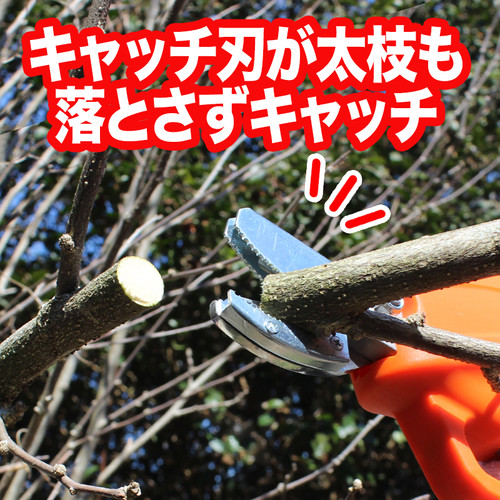 12Vコードレス電動高枝切りばさみ LX AFP1-JP | YARD FORCE JP
