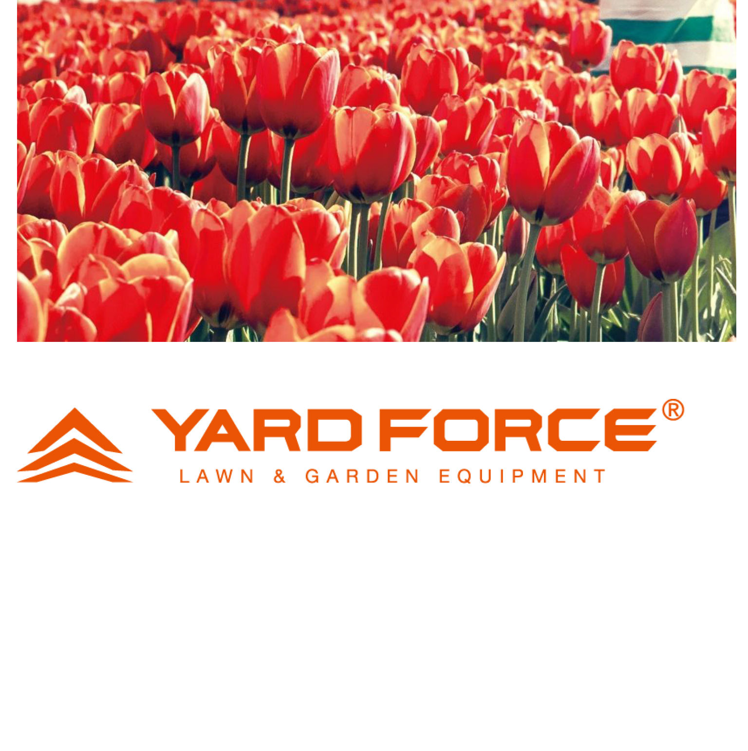 ヤードフォースジャパンショップ YARDFORCE JAPAN SHOP | ヤードフォース