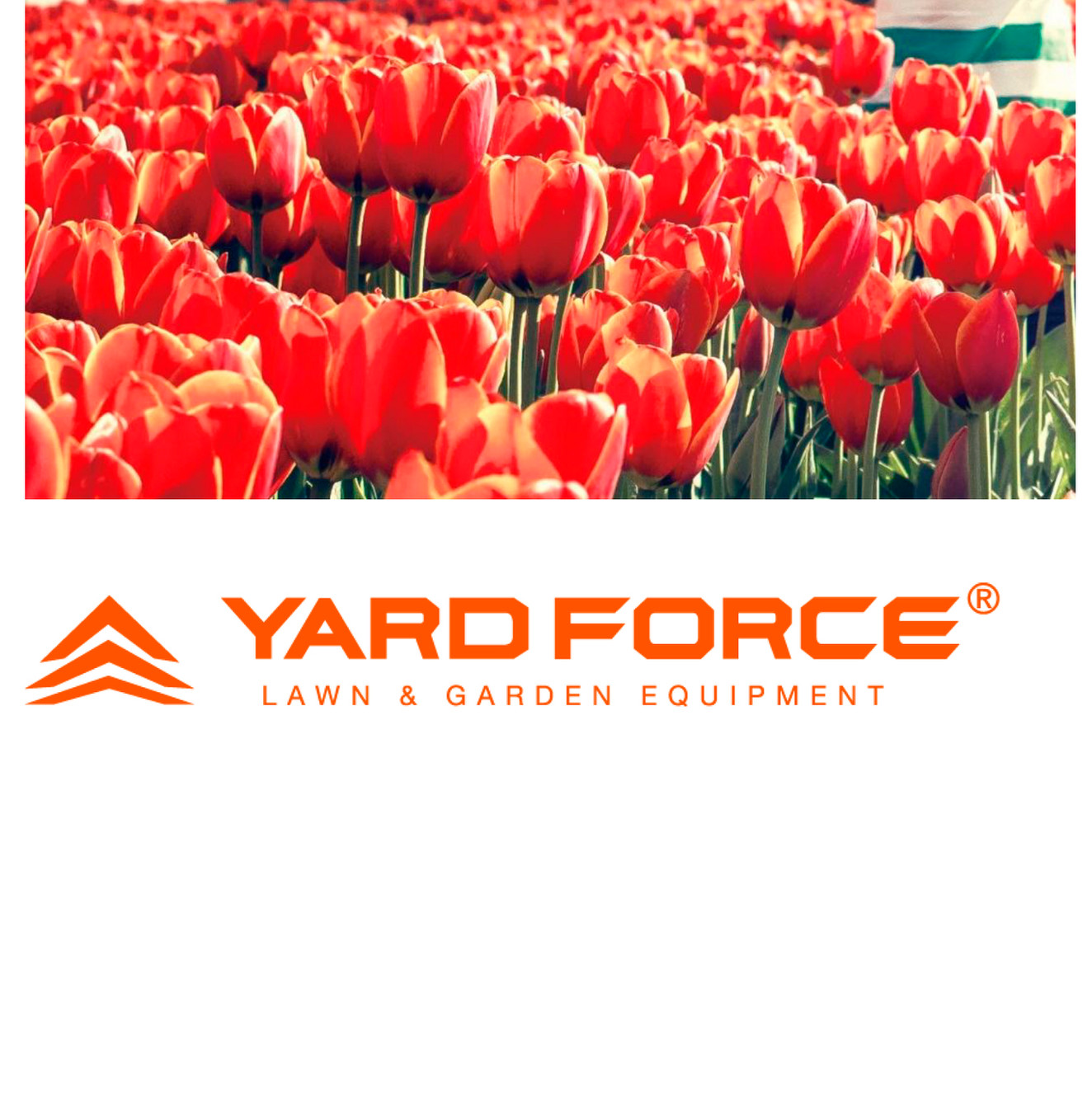 ヤードフォース高枝チェーンソー3 | YARDFORCE JAPANSHOP