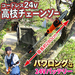 LS_C17-JP6-2.jpg