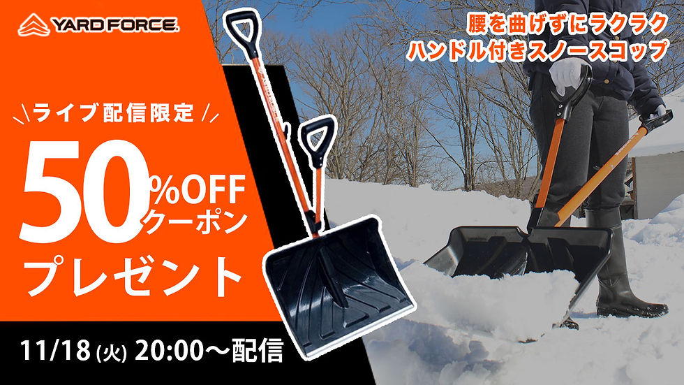 ライブ配信情報はこちら