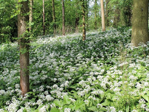 Spring Cleaning for Your Bike