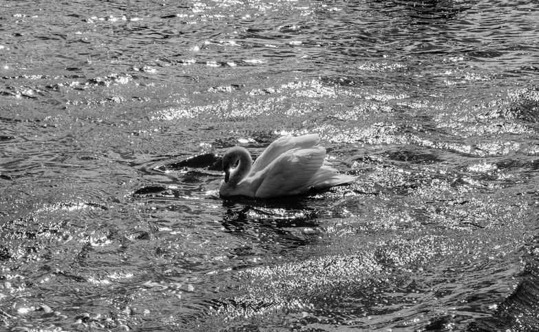 26072013-6.jpg