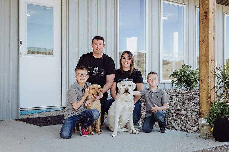 Dog Kennel Kamloops Carlson Hills Dog Kennel