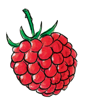 framboise.gif