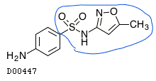 サルファ剤アレルギーは抗菌薬と非抗菌薬で分ける