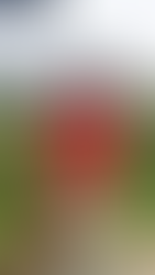 Ascoli: dal calciomercato, ufficiali H’Maidat e Jallow