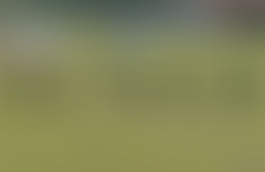 Ascoli al lavoro con la testa al Cagliari