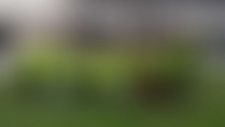 "Camminate dei musei" boom di presenze. Un successo ad Ascoli