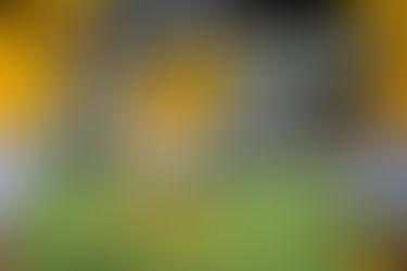 Hallberg in gran spolvero con la nazionale