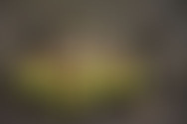 Ecco l’iniziativa “Metti in moto la mente – 3M Project”