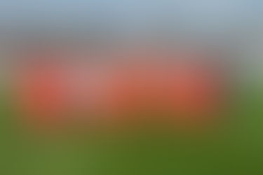 Pescara - Ascoli: capitan Giorgi con la maglia in ricordo di Aurora Stella