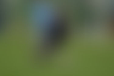 Primavera: Orsolini tripletta, Manari e Tomassetti stendono la Lazio