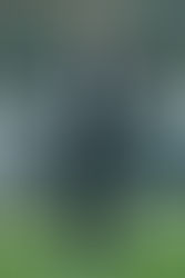 Ascoli, Mangia: "Domani abbiamo bisogno dei nostri tifosi, anche se siamo in debito con loro&qu