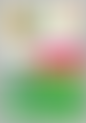 Venerdì 18 dicembre in cattedrale
Il “Giubileo degli sportivi”
Alle 19 messa del Vescovo mons. Giova