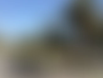 Prosegue “Salute in cammino di mattina”
Appuntamento a Centobuchi