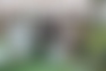 Cincolà - Tucci si aggiudicano la quarta tappa del campionato di burraco dell’U.S. Acli,  Anna Rita 