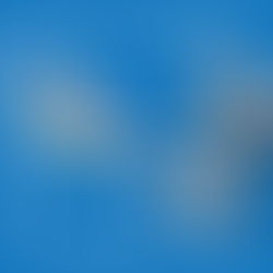 Subbuteo, la Coppa Italia al Pala Speca di San Benedetto