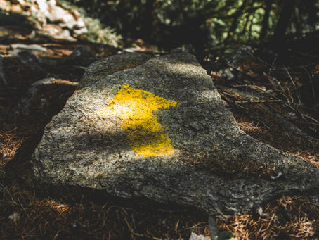 Being Your Best Friend or Your Own Worst Enemy