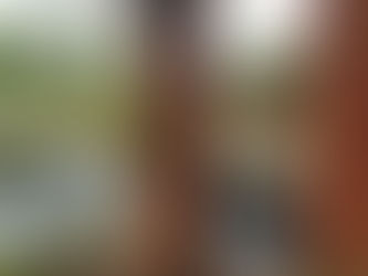 Helping Young Adults Succeed