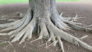 複雑に決まっとる