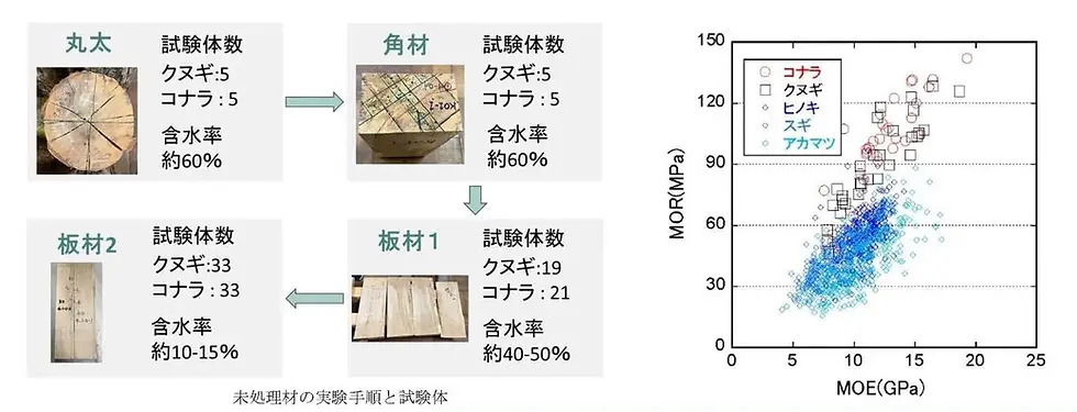 弹性模量测量结果图比较不同原木试件,并