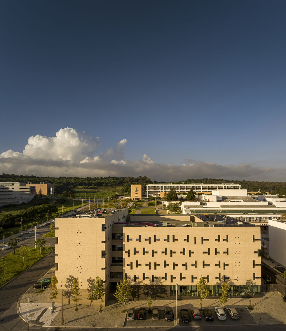 © Fernando Guerra | FG+SG