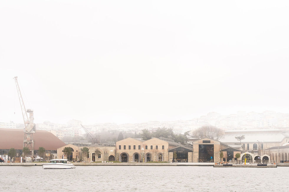 ©Marco Cappelletti Studios