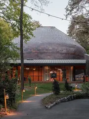 La Source Vive音乐厅远景图片,沿林间道路抵达,La Source Vive的收拢屋面与旧音乐厅共同形成层叠而低伏的
La Source Vive concert hall distant exterior: Approaching along the woodland road, the tapering roof of La Source Vive and the earlier hall form a low