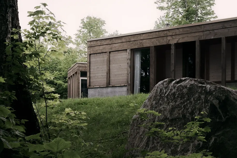岩石与林地之间的SONO住宅外观
SONO House set between rock and woodland