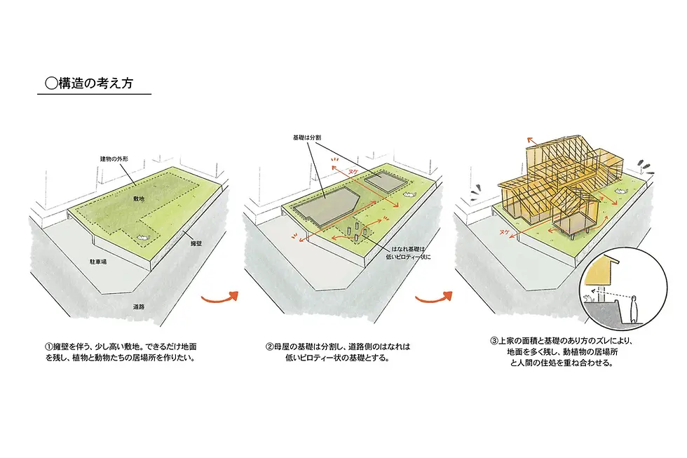 结构示意图解释筏板分割、桩基础与木构架的组合。
Structural diagram explaining the divided raft, pile foundation and timber frame.
© Niko Design Studio