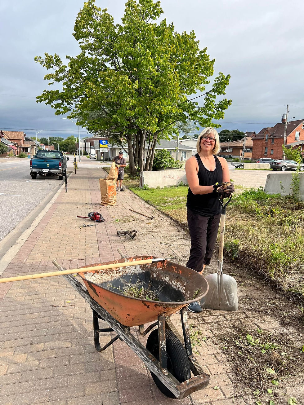 Weeding by Algonquin - Weeds Begone