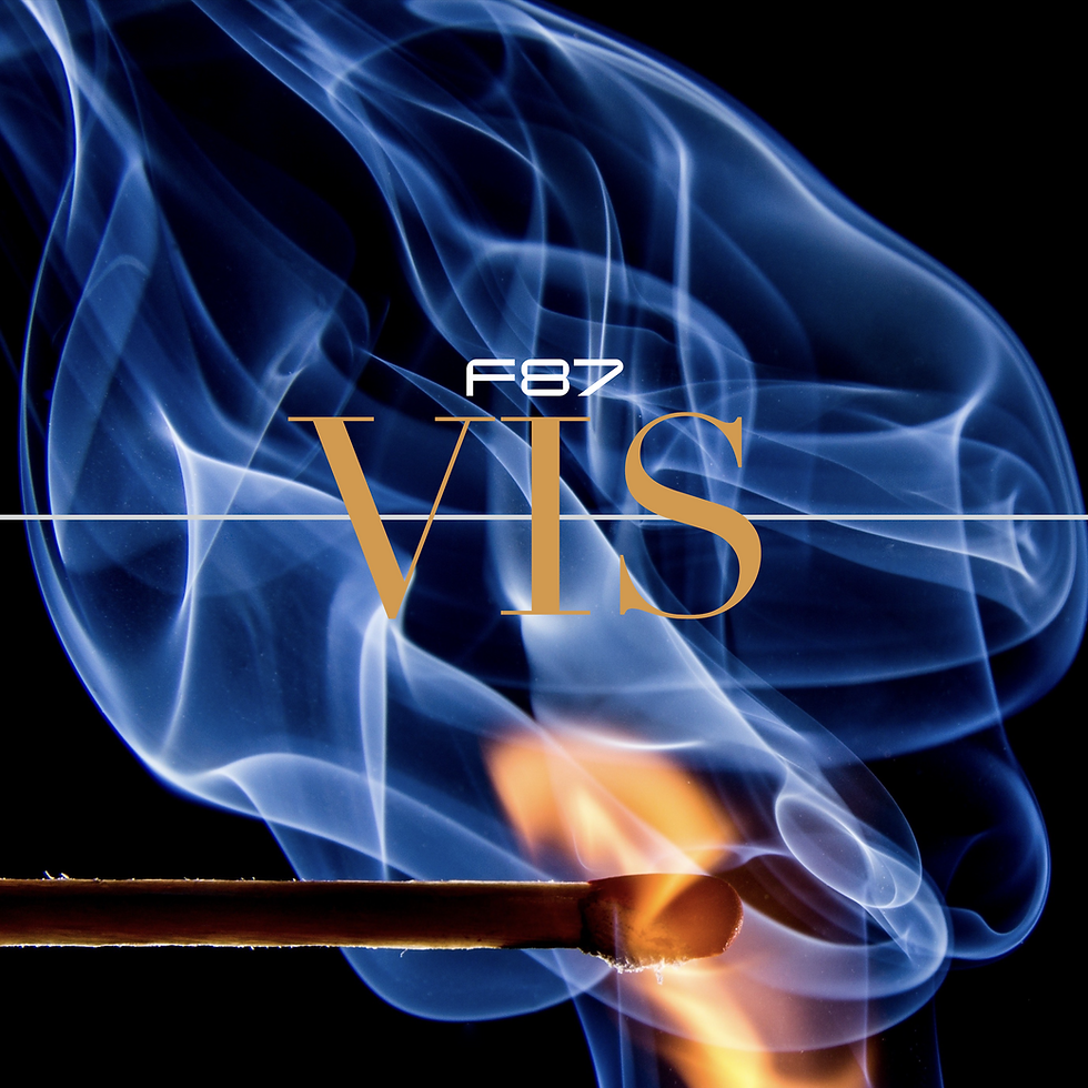 F87 VIS Cover Art