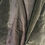 Thumbnail: Women's Khaki Cotton Velveteen Blazer