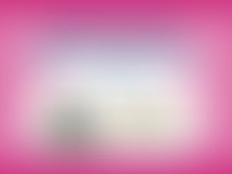 Services for Sunday 3 November 2024