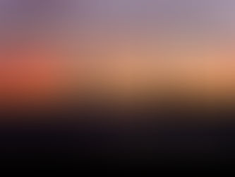 Sunday 28th January Service Details