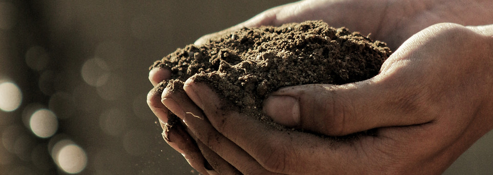 Hands Holding Dirt