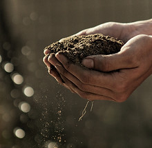 Hands Holding Soil