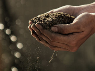 The right kind of dirt!