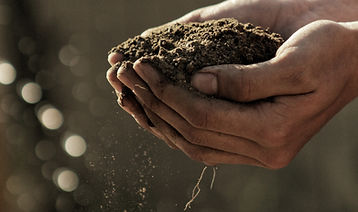 Hands Holding Soil