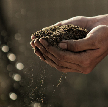 Hands Holding Dirt