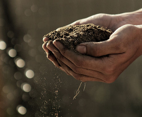 Hands Holding Dirt