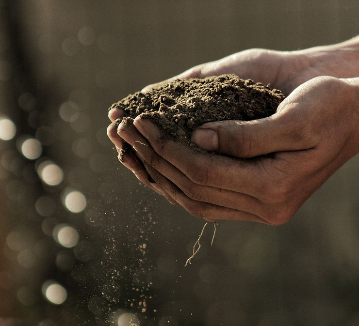 Hands holding a mound of soil, with dust gently falling. The background is blurred with circular light bokeh, creating an earthy, serene mood.