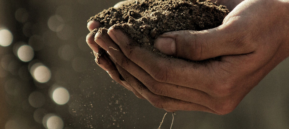 Hands Holding Dirt