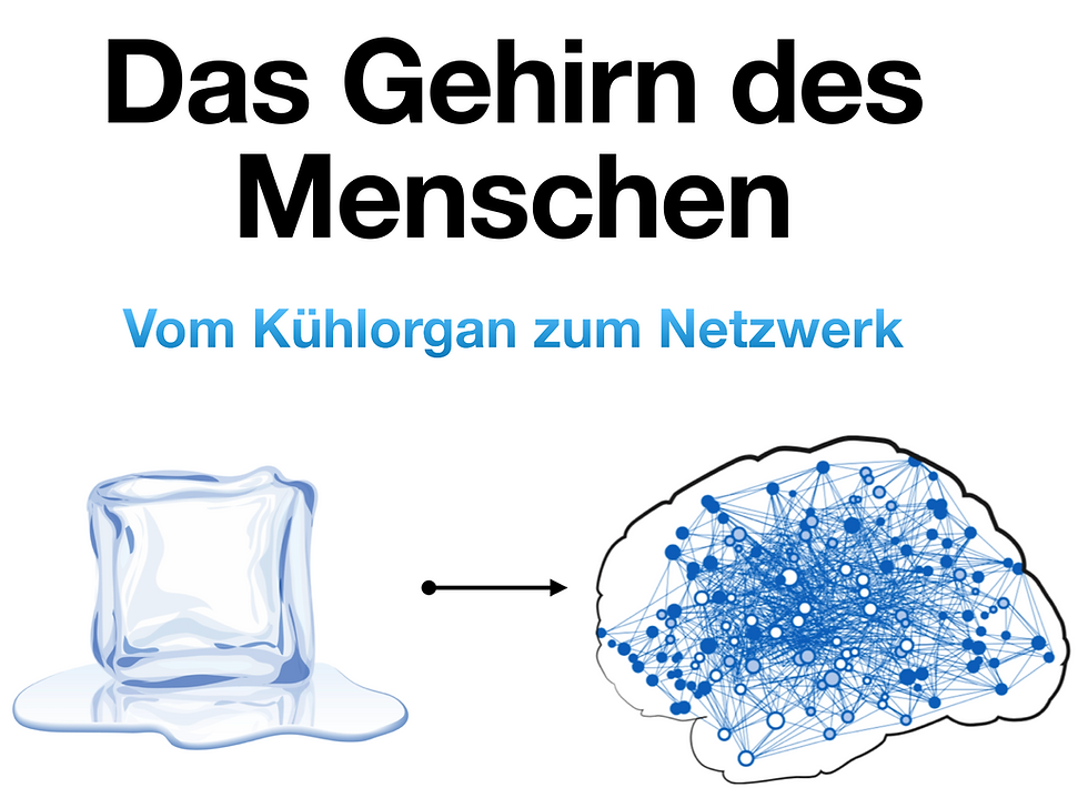 Was wir in 20 Jahren über das Gehirn gelernt haben und was wir weiterhin nicht wissen(1)